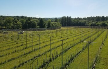 Quiet Corner Hop Farm LLC