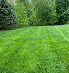Hoyt Landscaping of New Canaan