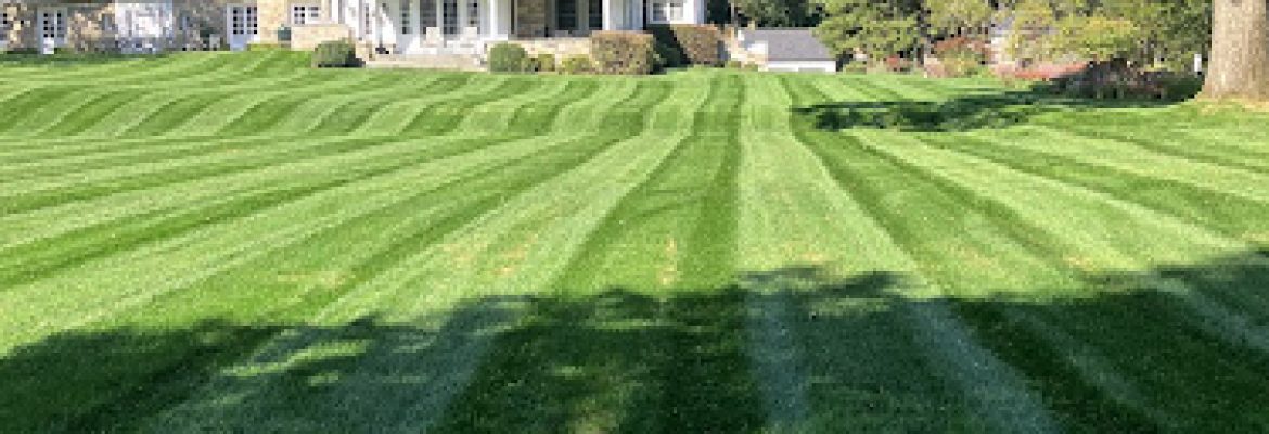 Fairfield_landscaping