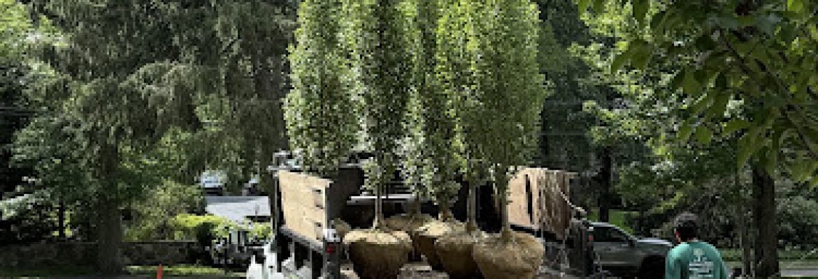 J&J LawnCare LLC