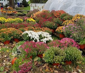 Gilbert Farm LLC