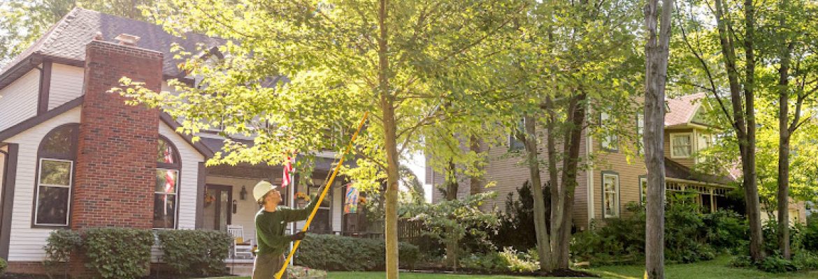 The Davey Tree Expert Company