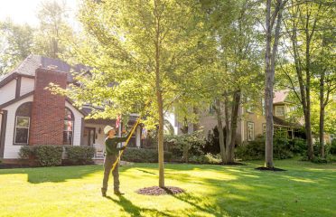 The Davey Tree Expert Company