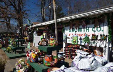 The Growth Co.