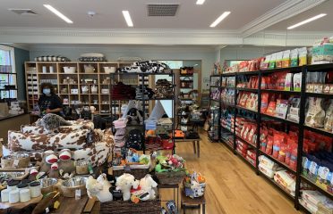depot dog boutique