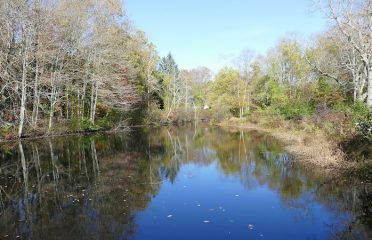 Aspetuck Park
