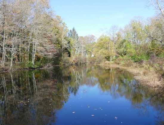 Aspetuck Park