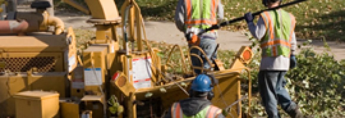 Coastal Tree Experts LLC