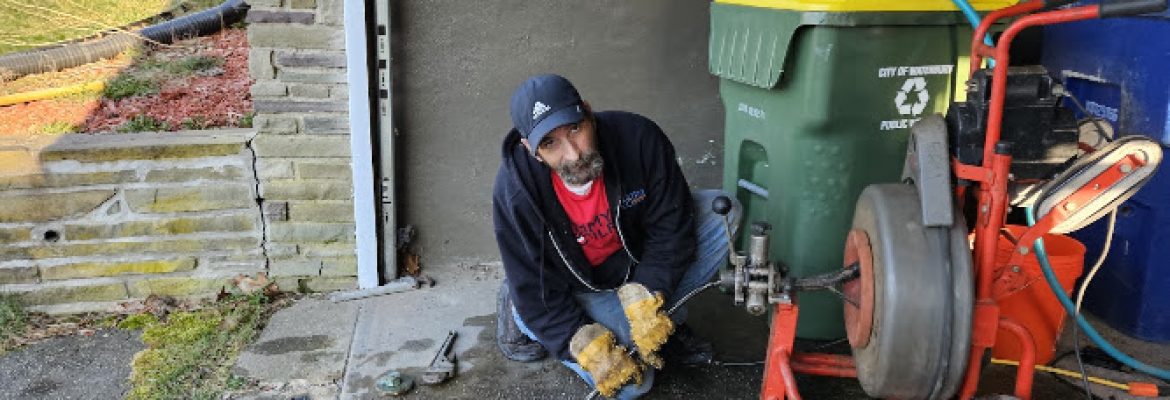 Master Rooter: Sewer and Drain Cleaning Service