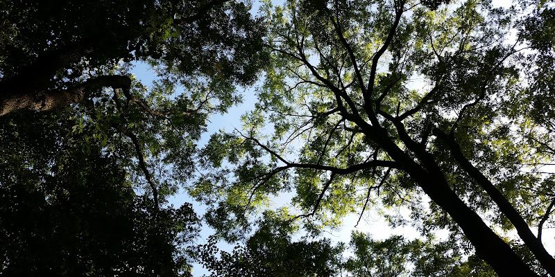 Equi-Tree Farm
