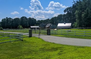 Syman Says Farms