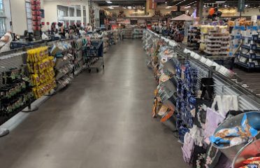 Colonial Commons – Orange