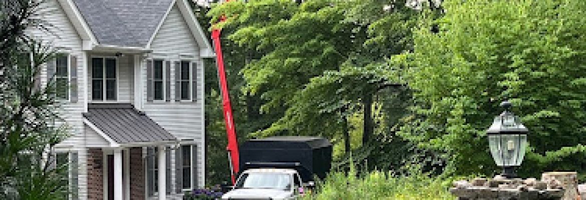 QJF Tree Services LLC