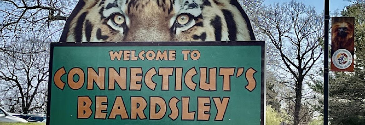 Connecticut’s Beardsley Zoo