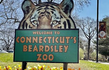 Connecticut’s Beardsley Zoo