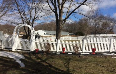 Aldi Fence