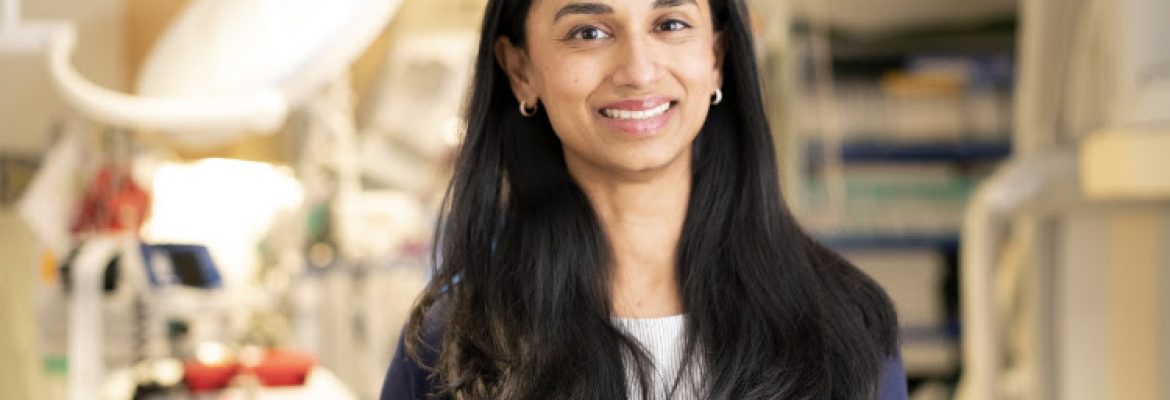Meghana Rao Brito, MD