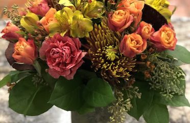 Springdale Florist & Greenhouses