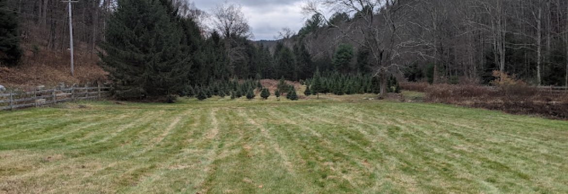 Nibbling Brook Farm