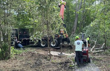 Blue Collar Tree Service