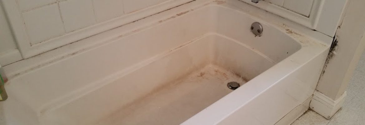 Detailed Cleaning Solutions