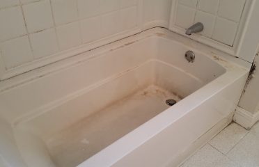 Detailed Cleaning Solutions