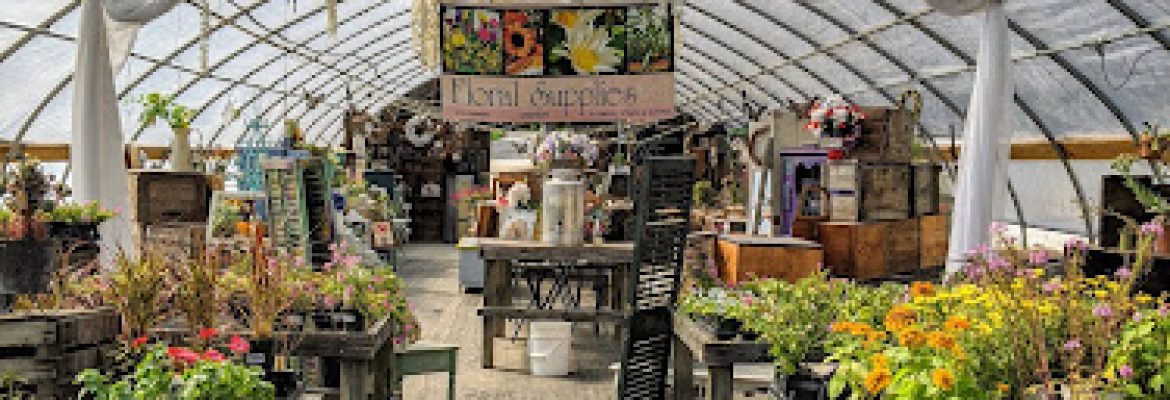 Sweet Hill & Co – SweetHillFarmCT/Weddings
