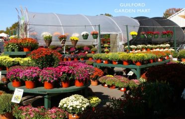 Van Wilgen’s Garden Mart