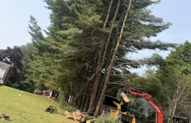 Sanchez-row tree service llc