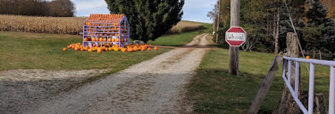 Fort Hill Farms Corn Maze