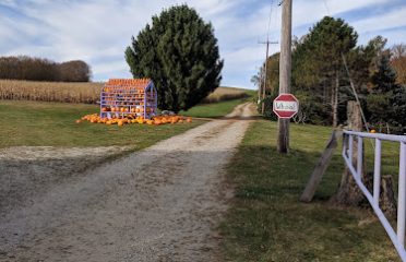 Fort Hill Farms Corn Maze