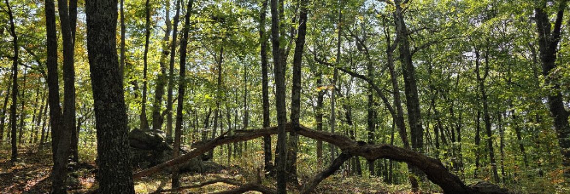 Whittemore Glen State Park Scenic Reserve