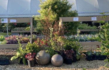 Everything Botanical llc