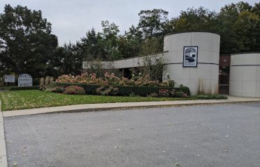 Glen Gate Yard