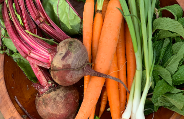 Connecticut Lifestyle Medicine