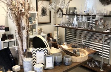 Willow & Birch