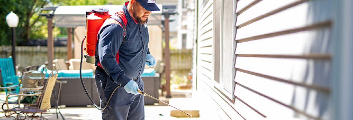 Fox Pest Control Oxford