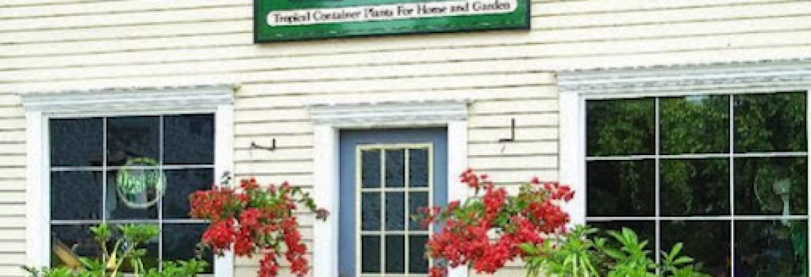 Logee’s Plants for Home & Garden