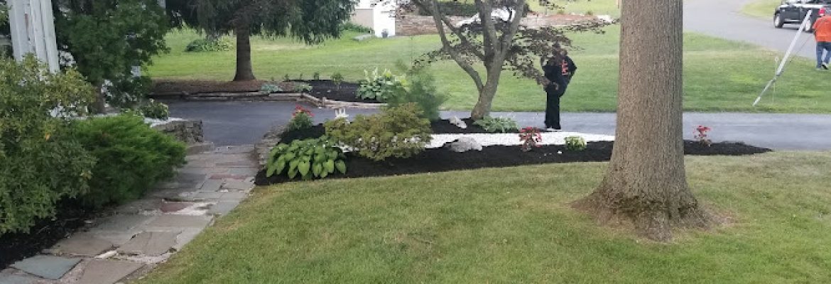 Judkins landscaping llc