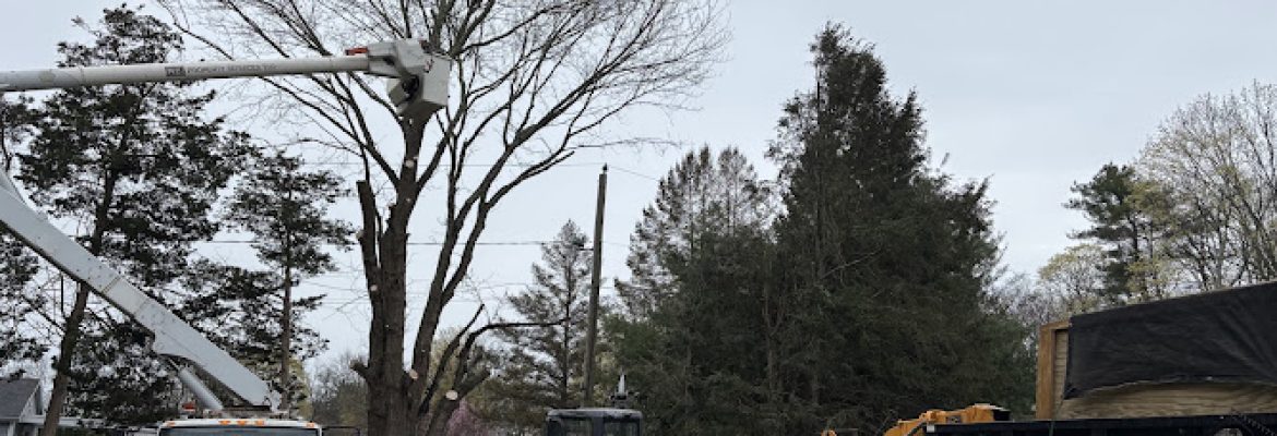R.C. Property Services LLC