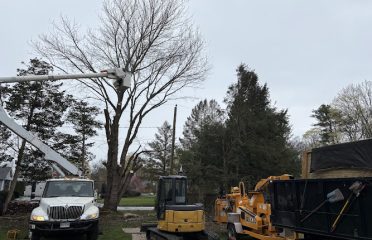 R.C. Property Services LLC