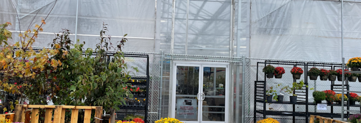 Garden Center at Tractor Supply