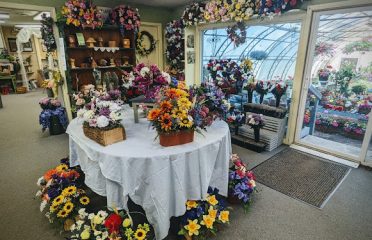 The Sunshine Shop