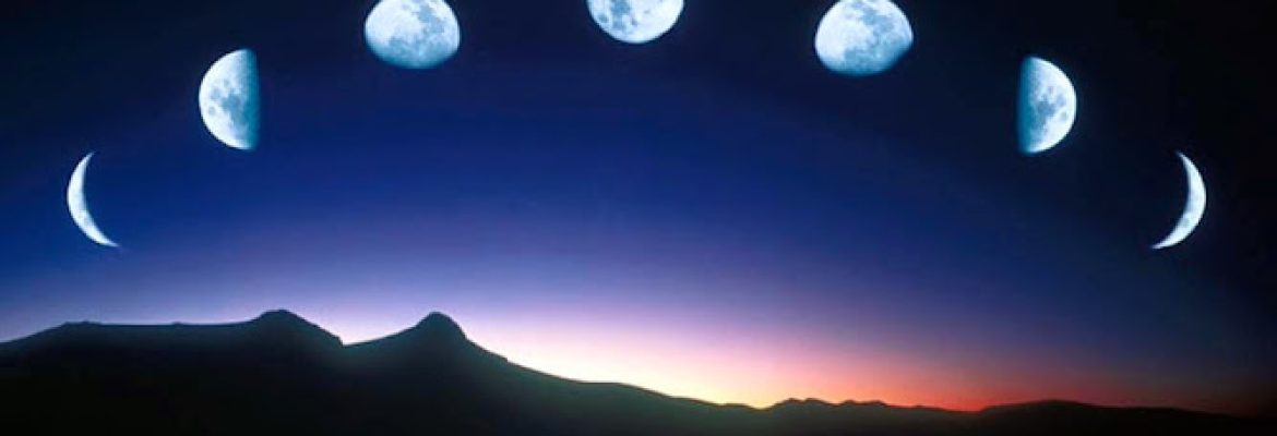 New Moon Treasures
