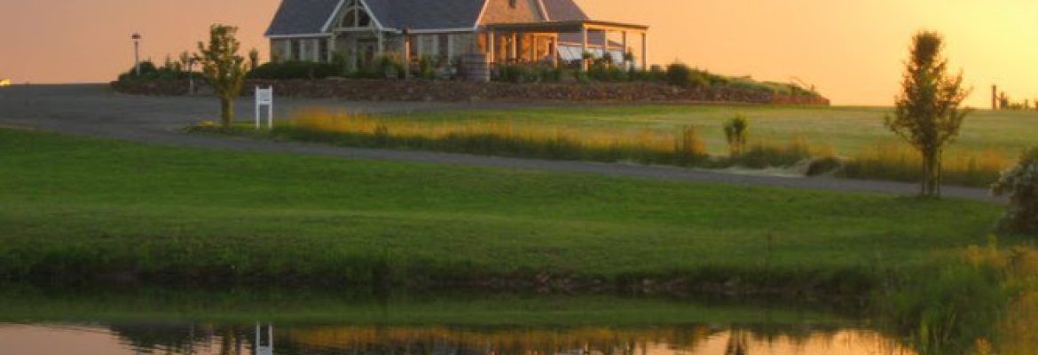 Gouveia Vineyards