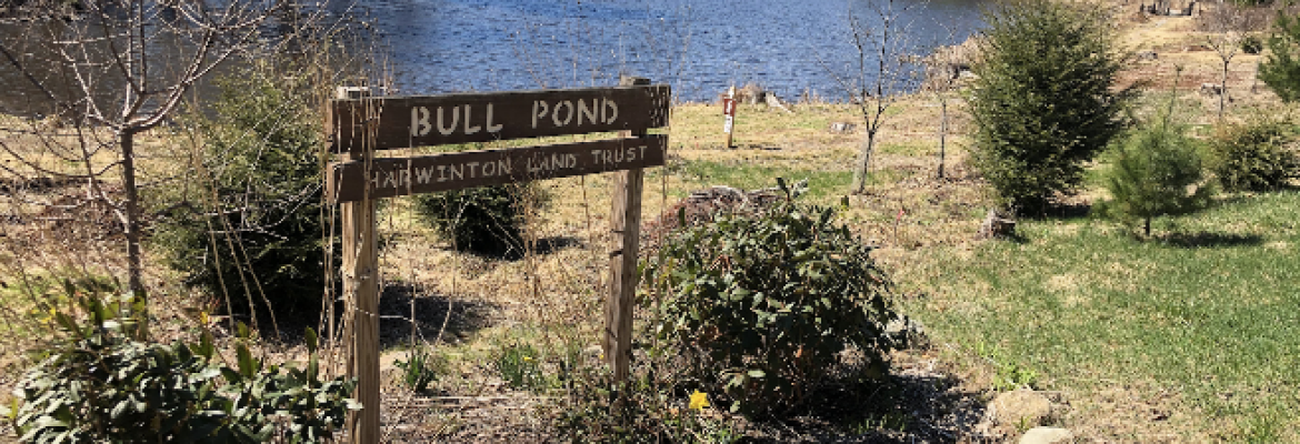 Harwinton Land Trust – Bull Pond Preserve