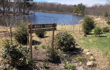 Harwinton Land Trust – Bull Pond Preserve