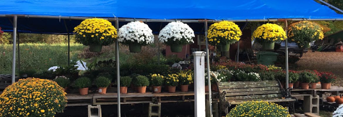 Valley Landscaping LLC