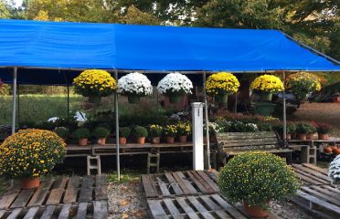 Valley Landscaping LLC