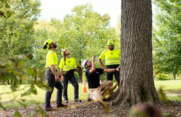 Bartlett Tree Experts